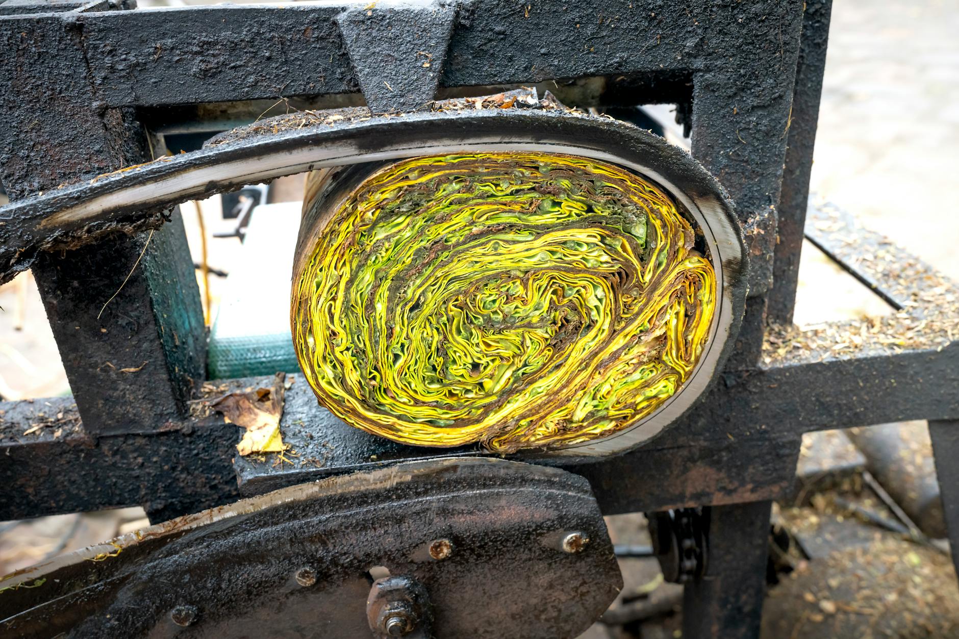 Press machine with rolled tea