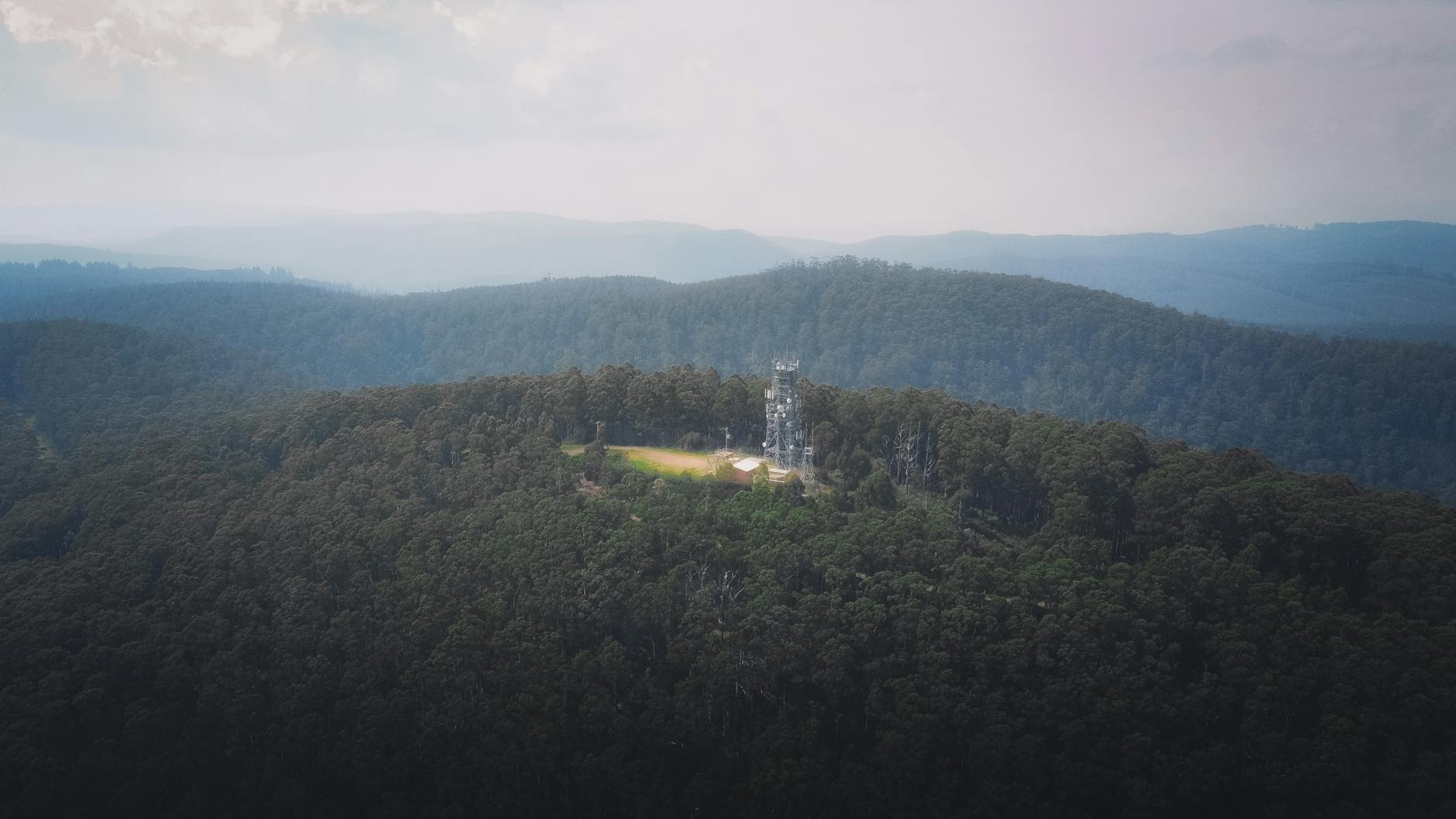 Green Trees on Mountain