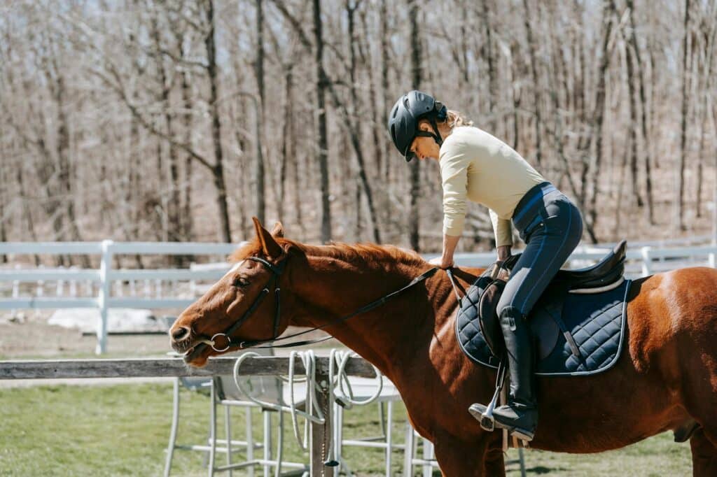 Equestrian Safety Business Ideas to Start in 2024