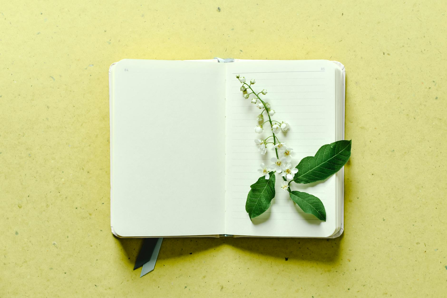 White Flowers on the Table