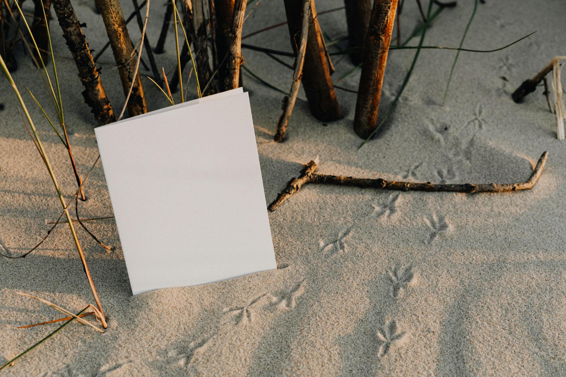 Empty White Paper on White Sand