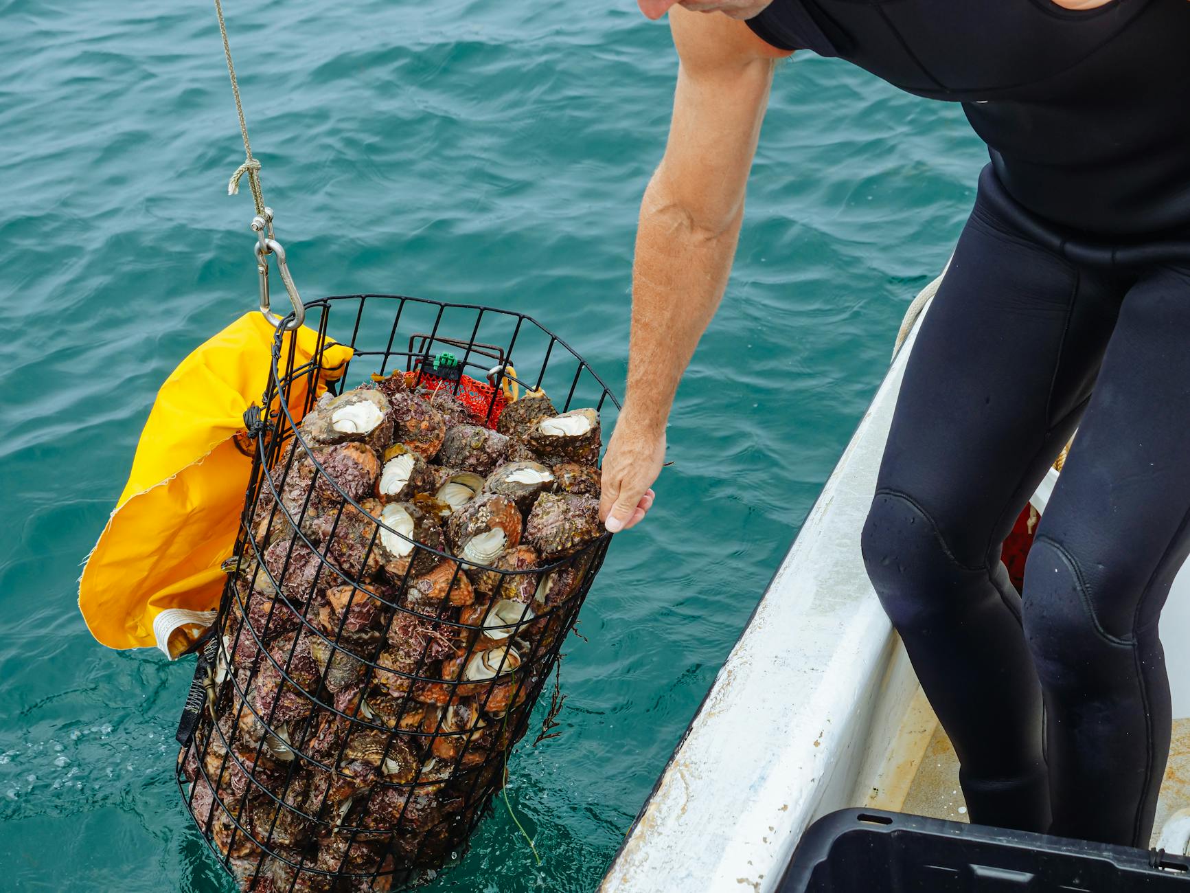 Aquaculture Operations