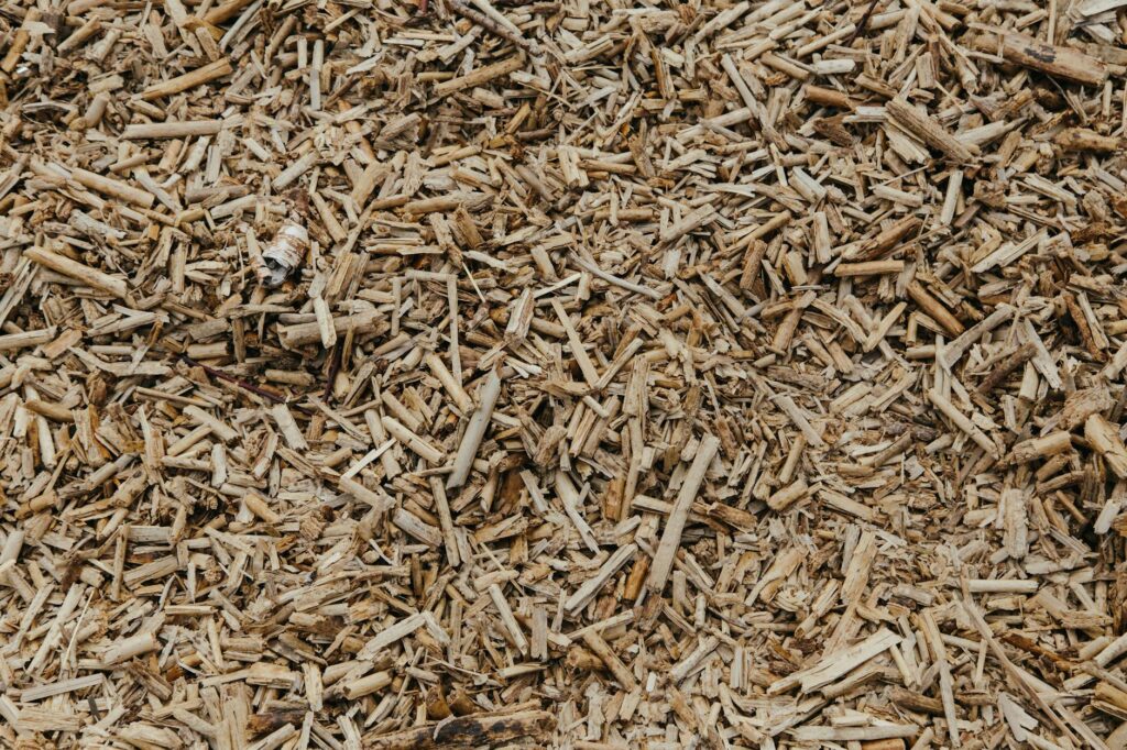 Agricultural Biomass Business Name Suggestion [2024 Update]