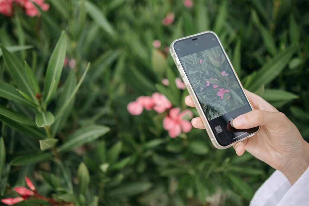 Landscape Horticulture App Name Ideas